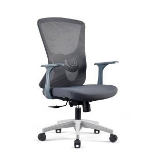Ghế Xoay Văn Phòng VT-Illinois BGMT859-2