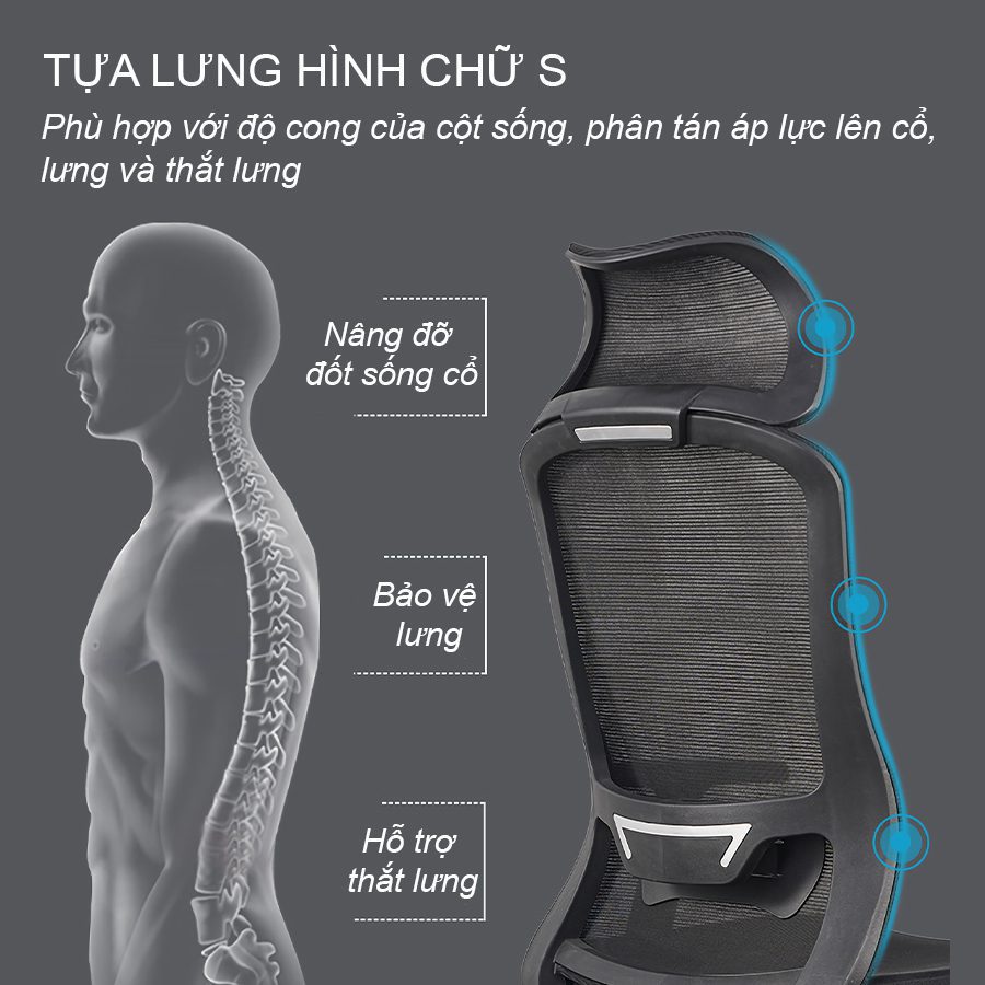 Ghế Xoay Văn Phòng VT- Maryland AGMT2098X