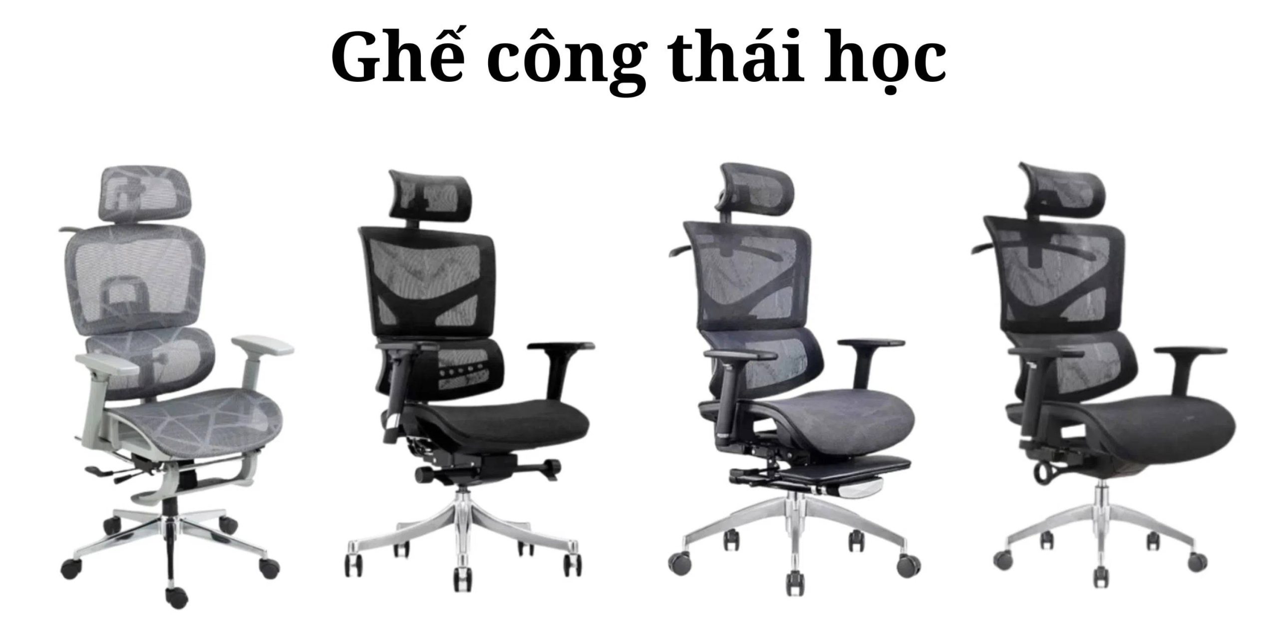 Ghế Công Thái Học